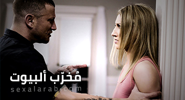 تدمير البيوت