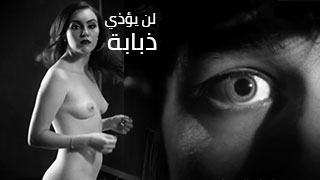 لن يؤذي ذبابة – سكس مترجم
