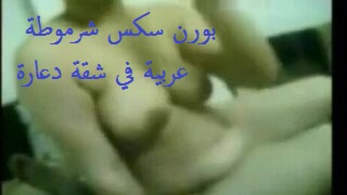 بورن سكس شرموطة عربية في شقة دعارة
